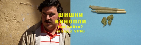 Альфа ПВП Нея