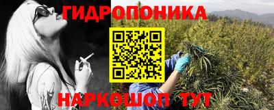 спайс Аргун