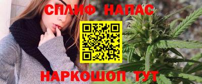 spice Ярославль