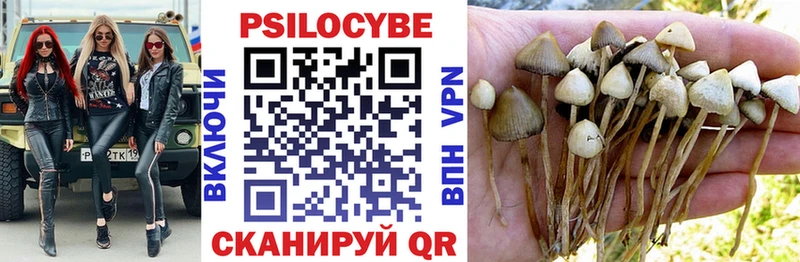 Псилоцибиновые грибы GOLDEN TEACHER  Купить где  Брянск 