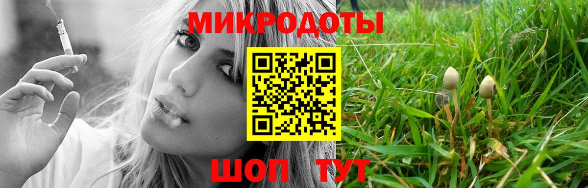 Псилоцибиновые грибы Psilocybe  Псилоцибиновые грибы Cubensis  Брянск  Вход с VPN 