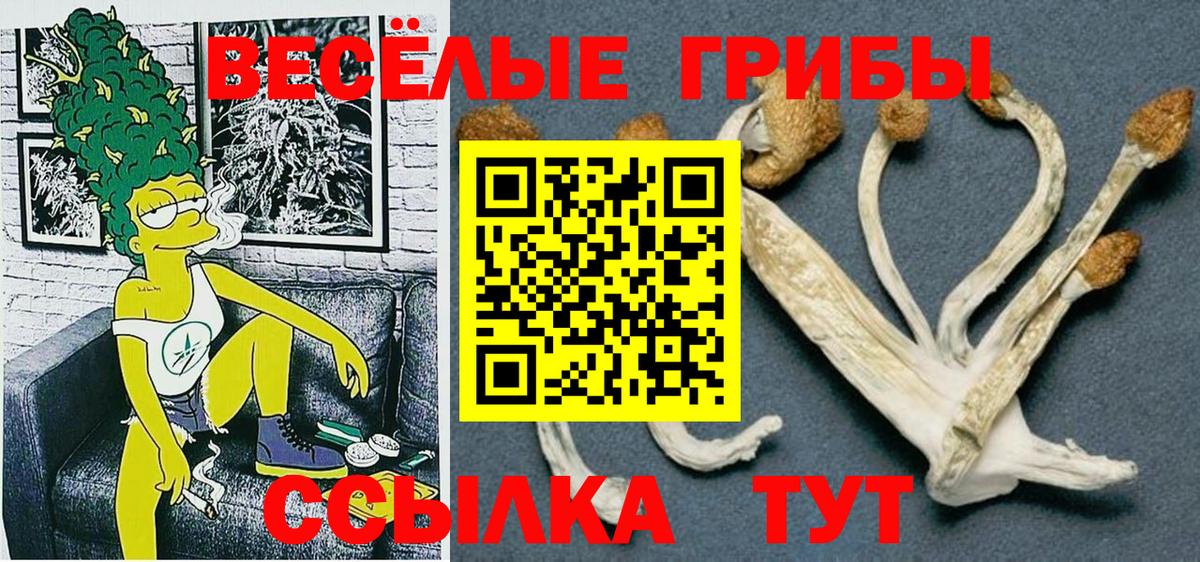 Псилоцибиновые грибы мухоморы Брянск