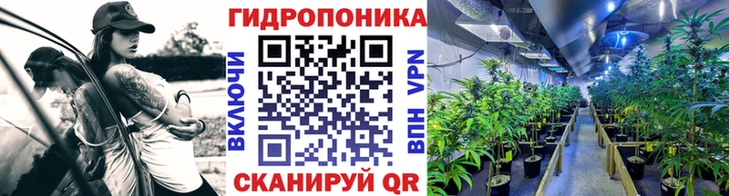 Купить где  Брянск  Марихуана сатива 