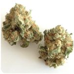 Шишки "White Widow"  (Белая вдова)  Гидропоника -  Бошка VHQ в Брянске