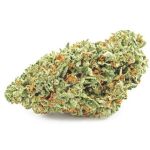Шишки OG Kush  (Гидропоника, бошки) VHQ в Брянске